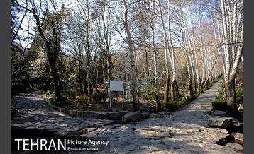 بوستان جمشیدیه (باغ سنگی جمشیدیه) 3