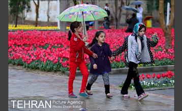 جشنواره لاله‌ها در بوستان زندگی محله هرندی 10