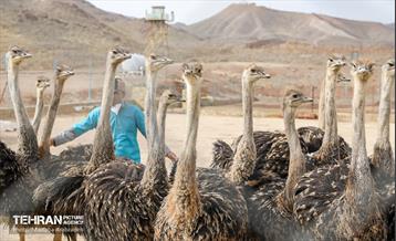 بازدیدشهردار تهران از مرکز ماده ۱۶ سروش 13