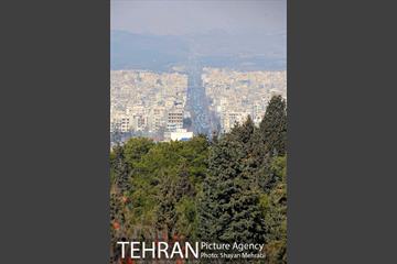 پارک جنگلی سرخه حصار 7