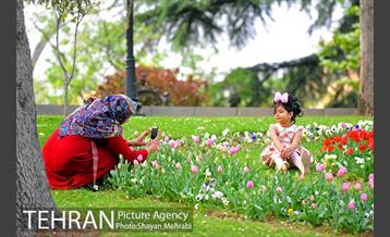 بوستان ملت 19