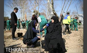 غرس نهال در بوستان بهاران 21