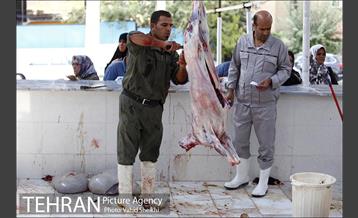 بازدید سعید راد از مراکز عرضه دام  17