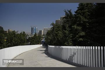 پل تندرستی 9