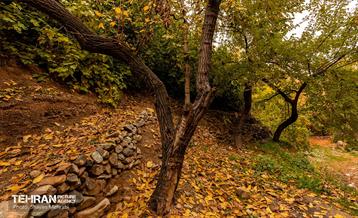 رود دره فرحزاد 49