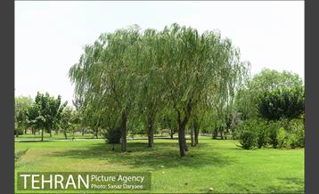 بوستان پردیس بانوان 24