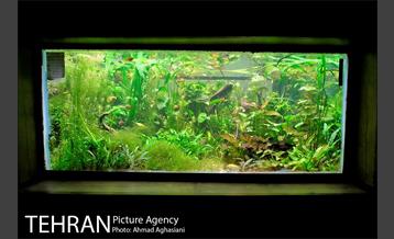 آکواریوم پارک شهر 16