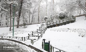 صبح برفی بوستان ملت 6