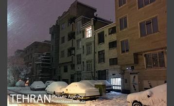 صبح برفی تهران 11