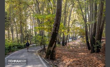 آخرین روزهای پاییزی  33