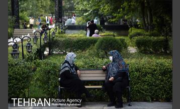 باغ فردوس 18