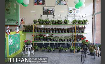 طرح گلماند در منطقه 18