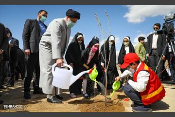 نهال کاری شهردار تهران و رئیس جمهور به مناسبت روز درختکاری 22