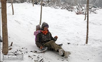 بارش برف در تهران 16