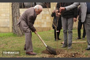 کاشت درخت توسط هنرمندان در فرهنگسرای نیاوران 5