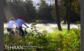 بازدید پیروز حناچی شهردار تهران از بوستان جنگلی چیتگر تا دریاچه شهدای خلیج فارس 10