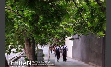 هوای بهاری تهران 6