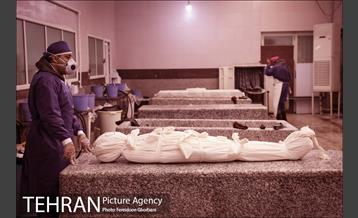 تاخت و تاز در وضعیت قرمز 5