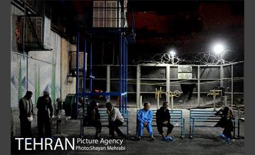 گرمخانه ها 26