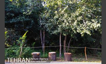 باغ گیاه شناسی ملی ایران  29
