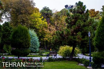 پاییز پارک شهر 29