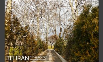 پارک ملت در یک روز زمستانی 24