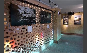 افتتاح نمایشگاه عکس "در سایه نور" در نگارستان شهر 4
