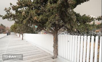 به وقت خدمت؛ مسیر زندگی 20