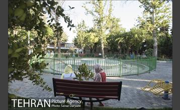 بوستان شقایق 6