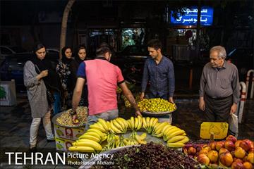 میوه های تابستانه رونق میوه فروشی ها 13