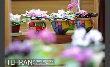 نمایشگاه گل و گیاه در بوستان گفتگو 23