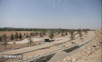 اینجا کارگاهه؛ پروژه بام ری 74