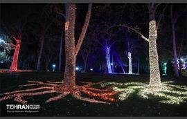 جشنواره «نور در یلدای ایرانی» در بوستان ملت 20