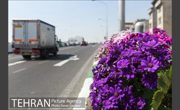 گل آرایی پل سیدخندان 22