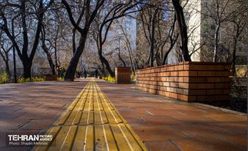 باغ گلاریس 42