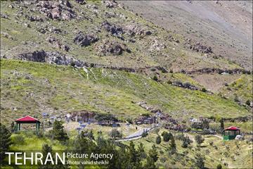 بوستان جنگلی کوهسار 3