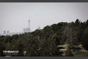 روز طبیعت در پارک جنگلی لویزان 19