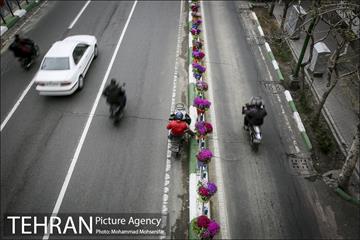 استقبال از بهار در خیابانهای تهران 19
