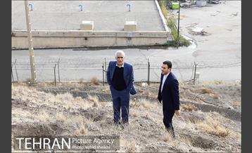 بازدید شهردار تهران از پروژه درختکاری کمربند سبز تهران  4