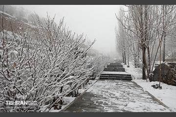 بارش برف زمستانی در تهران 37