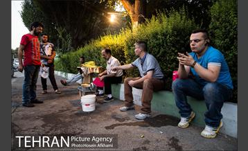 شیر بلال تابستان 5