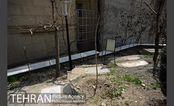 گورستان جوزدرختک (آجودانیه) 15