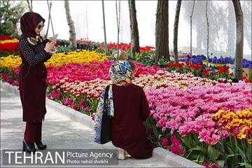 پیاده راه لاله برای مادران 5