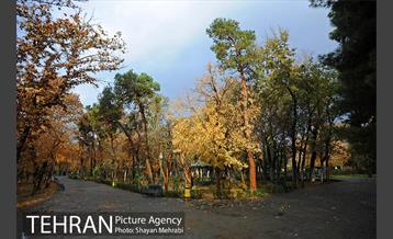 پاییز در پارک شهر 20