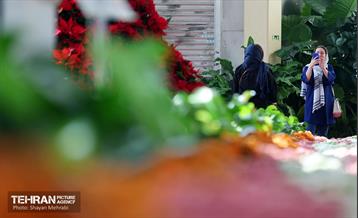 بیستمین نمایشگاه بین‌المللی گل و گیاه 41