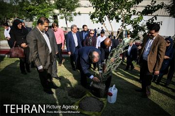 آئین درخت کاری به مناسبت تولد گاندی 13