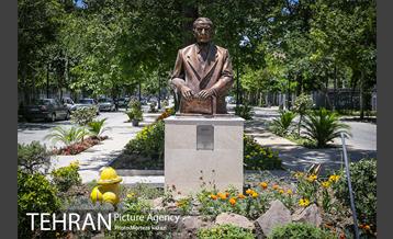 مراحل آماده سازی گذر پیاده راه استاد شهریار 8