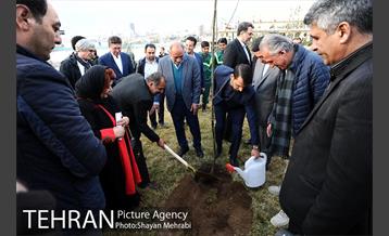 کاشت شش نهال درخت زیتون با حضور کارگرداران سینمای ایران 8