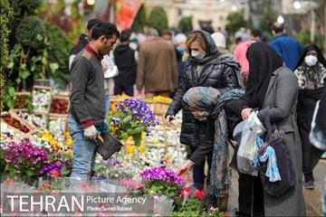 بازار گل و گیاه غرب تهران در آستانه نوروز 31