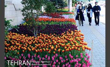 پیاده راه لاله مادران 17